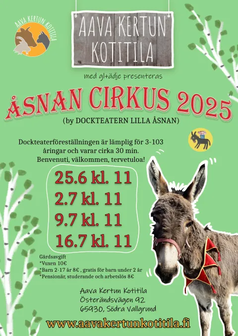 Aava Pikku juliste 2025 1