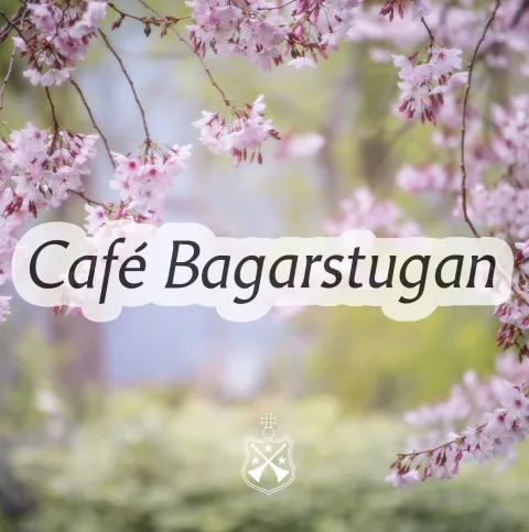 Cafe Bagastrugan SOME bild