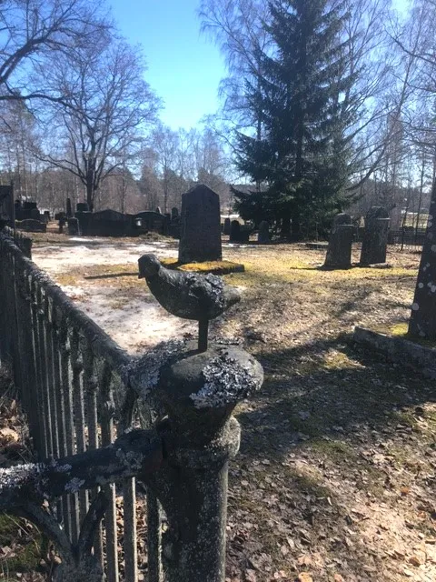 Kappelimaki lintu